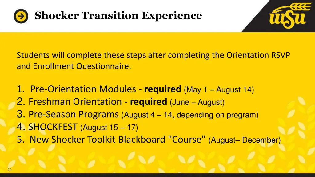 shocker transition experience