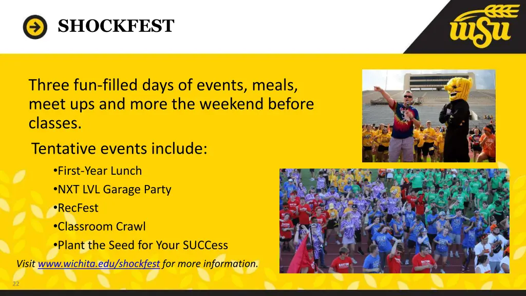 shockfest