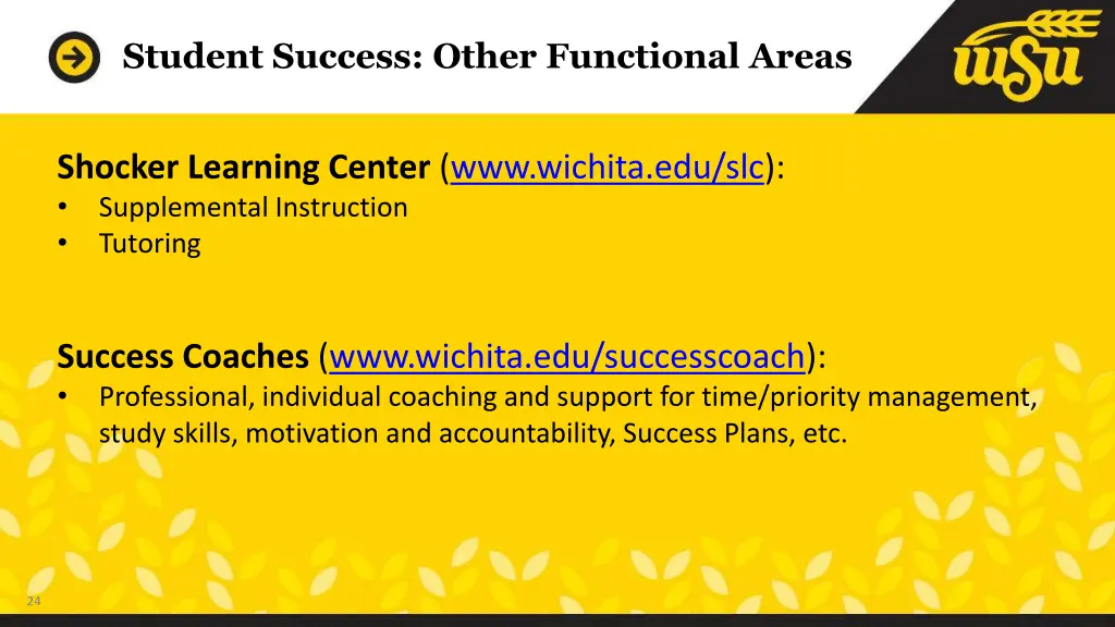 student success other functional areas