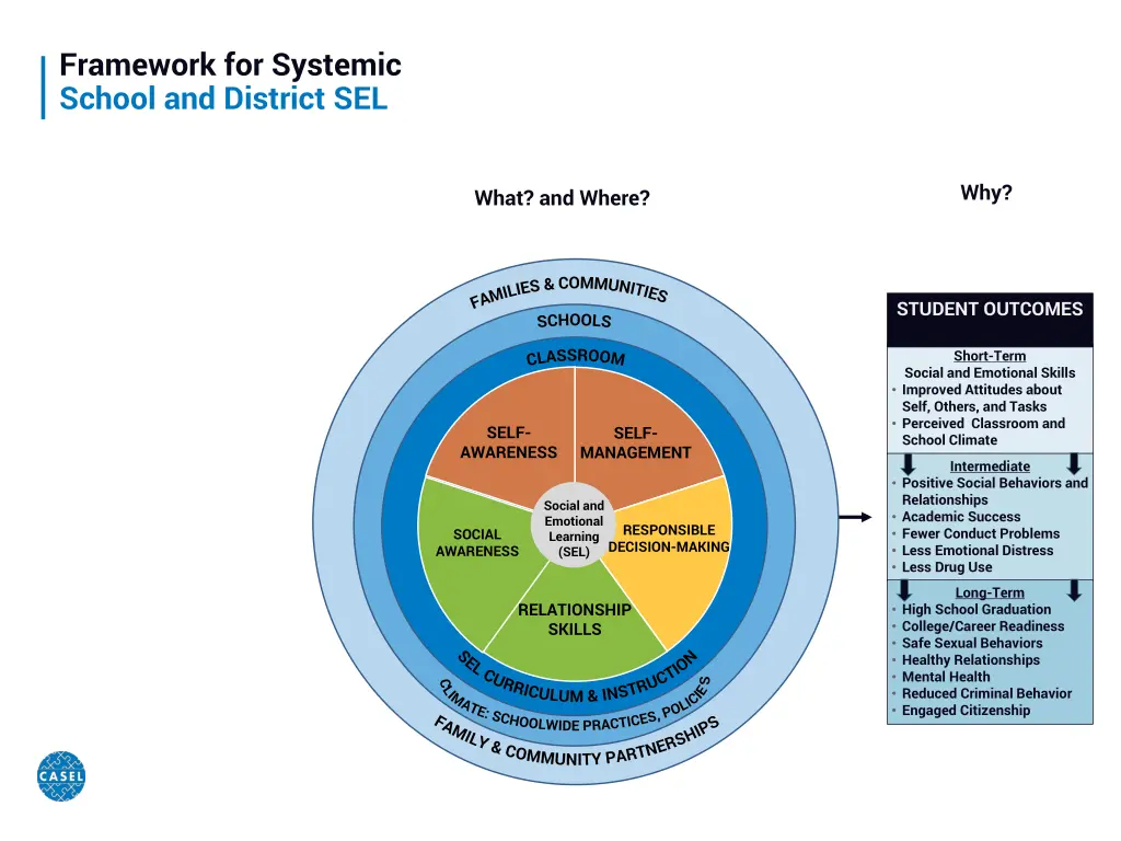framework for systemic school and district sel 1