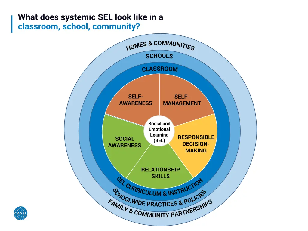 what does systemic sel look like in a classroom