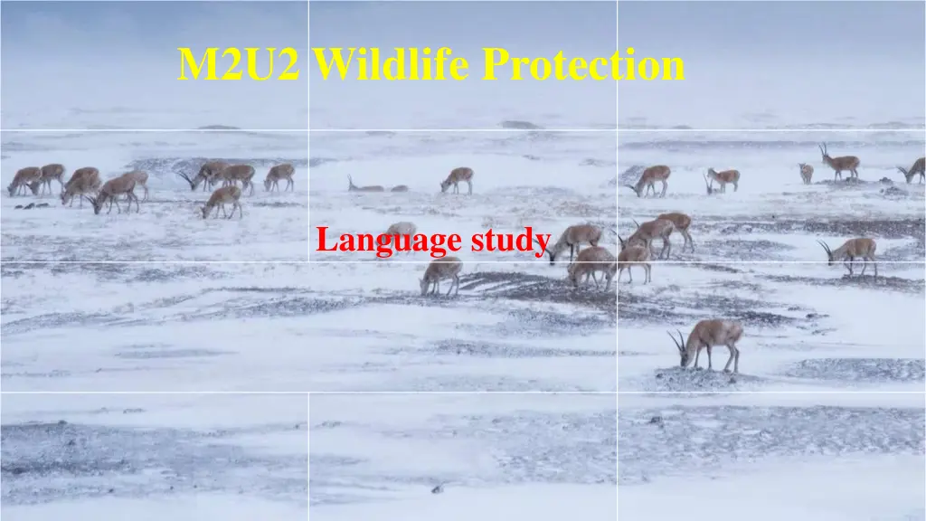 m2u2 wildlife protection