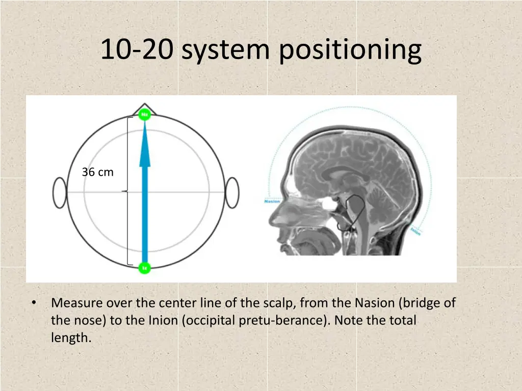 10 20 system positioning