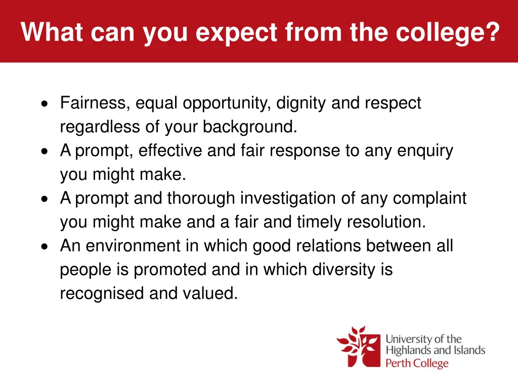 what can you expect from the college