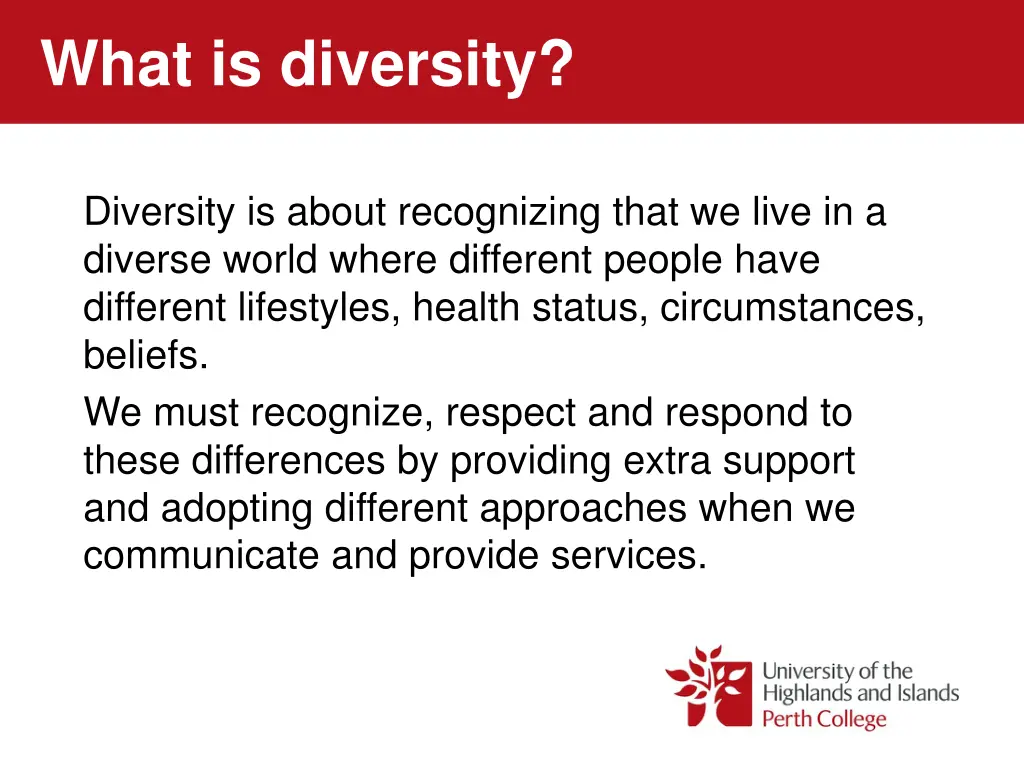 what is diversity