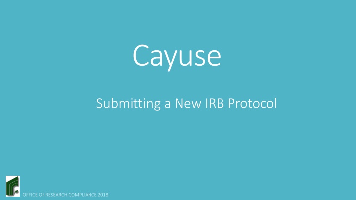 cayuse