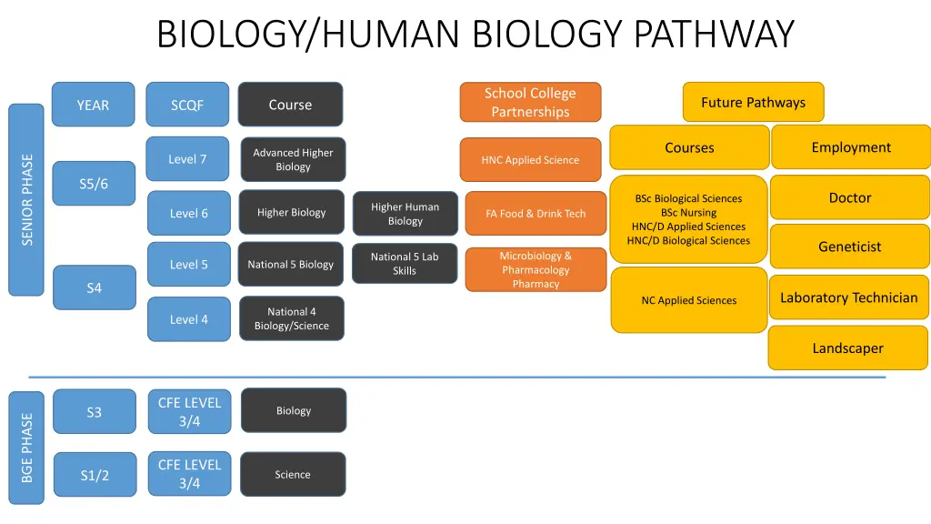 biology human biology pathway