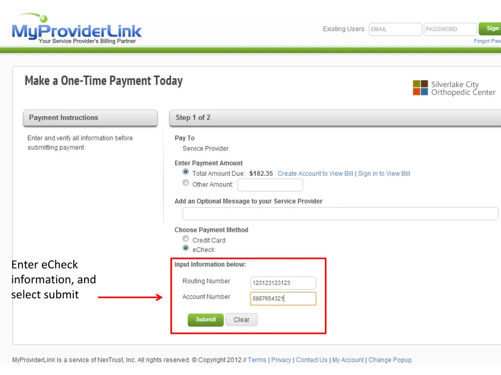 enter echeck information and select submit