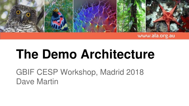 the demo architecture