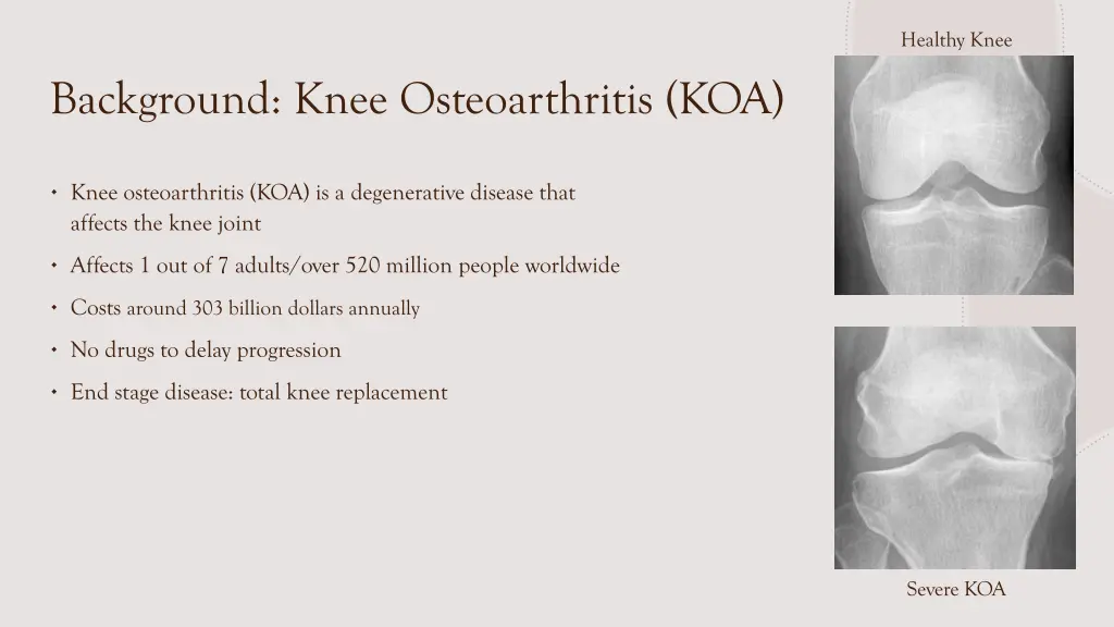 healthy knee