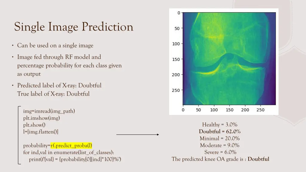 single image prediction