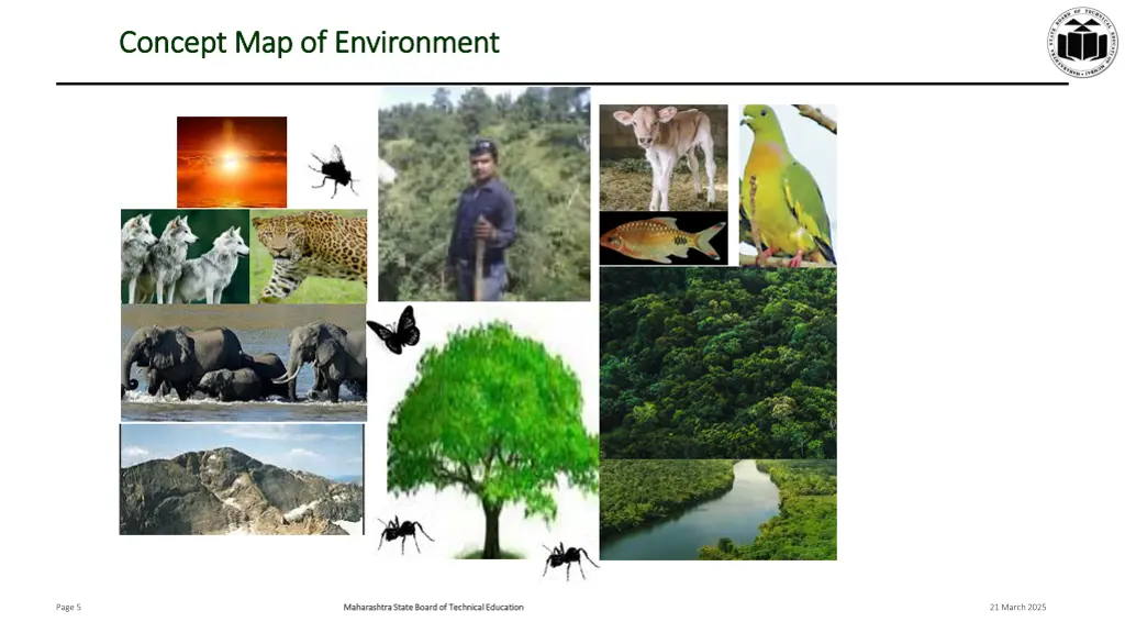 concept map of environment concept