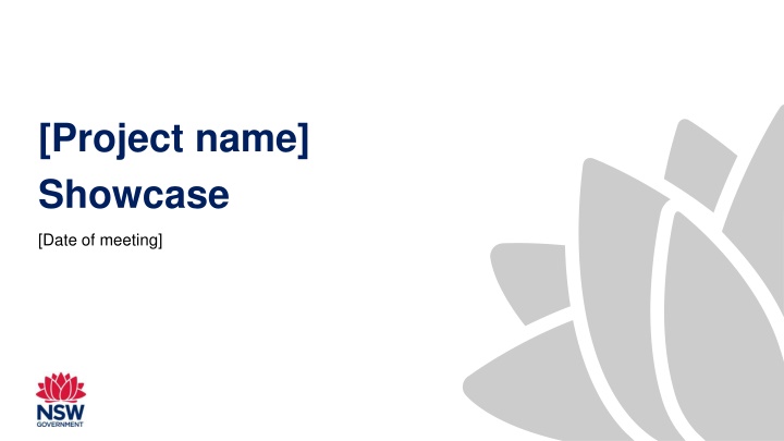 project name showcase