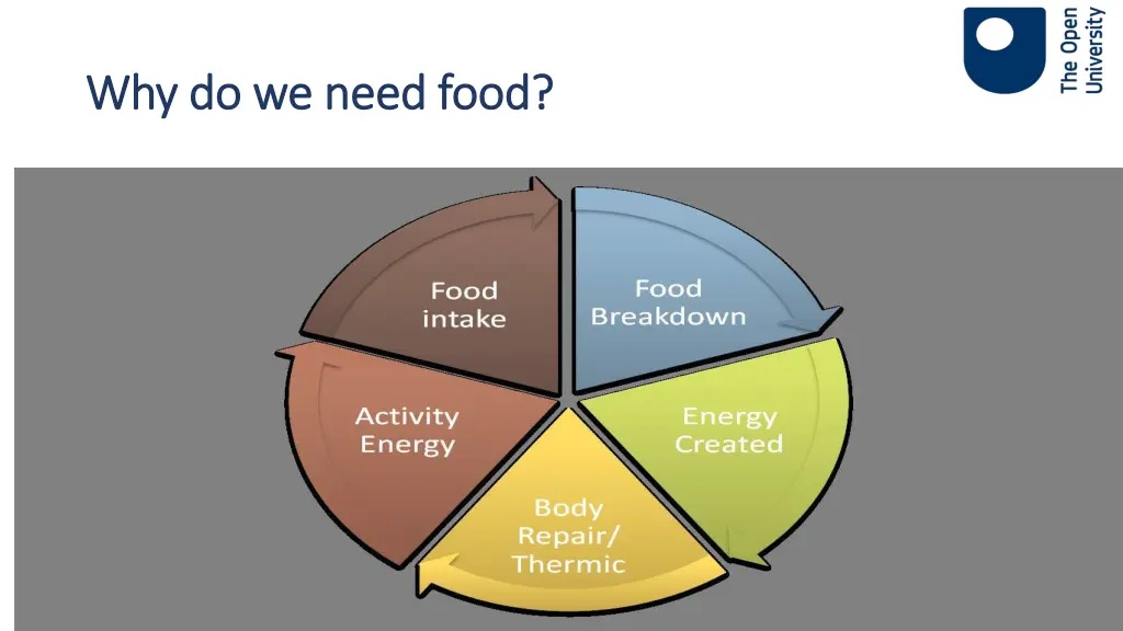 why do we need food why do we need food