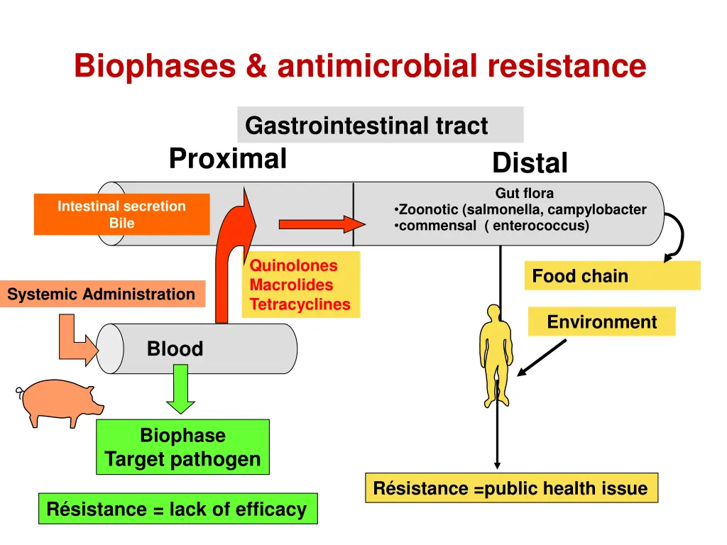 biophases antimicrobial resistance 1