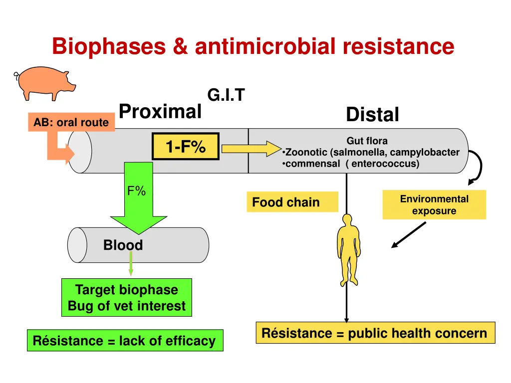 biophases antimicrobial resistance