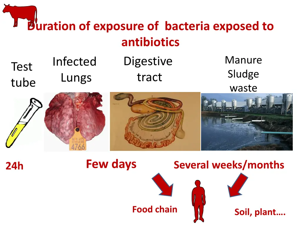 duration of exposure of bacteria exposed