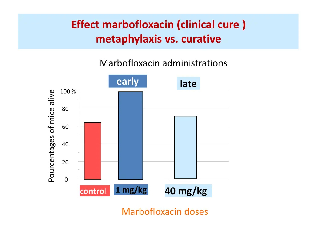 effect marbofloxacin clinical cure metaphylaxis