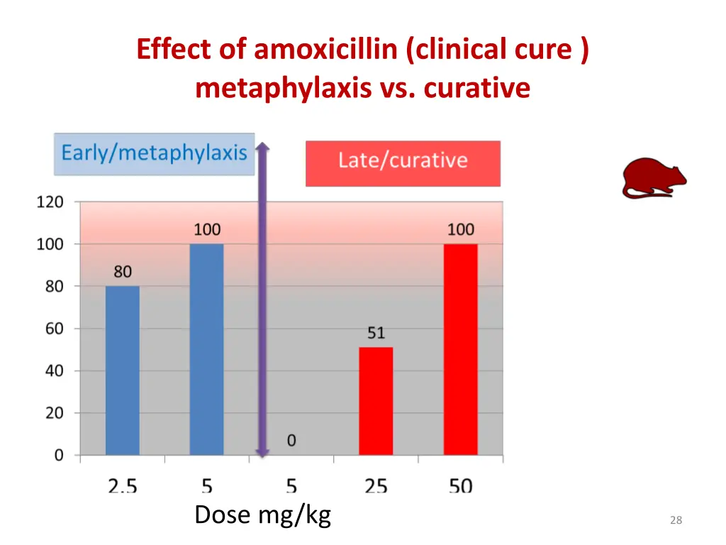 effect of amoxicillin clinical cure metaphylaxis