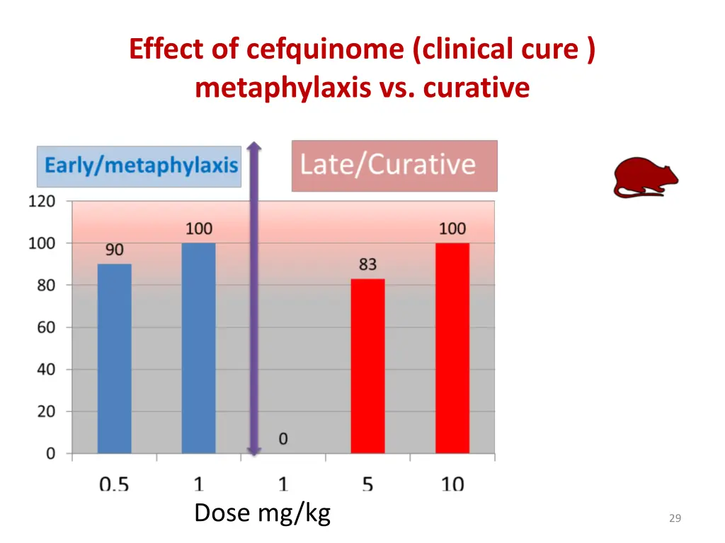 effect of cefquinome clinical cure metaphylaxis