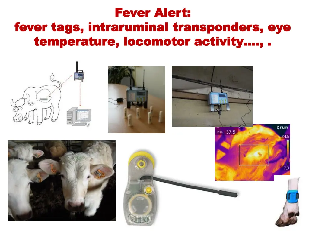 fever alert fever alert intraruminal transponders
