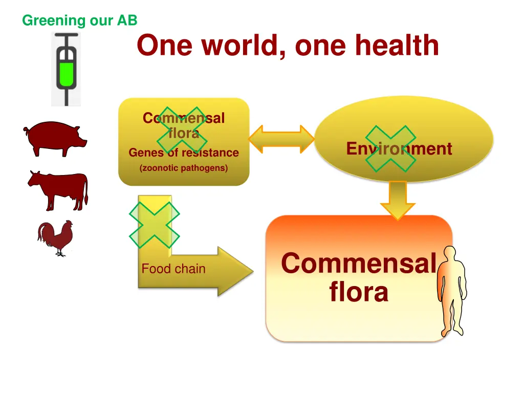 greening our ab