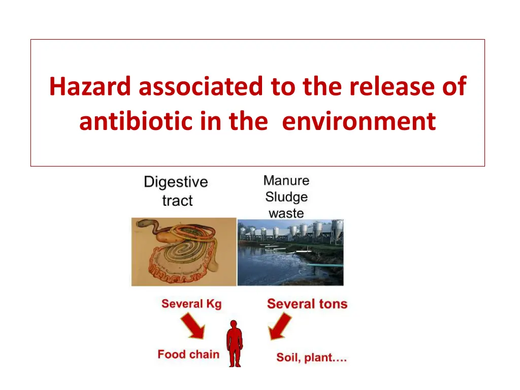 hazard associated to the release of antibiotic