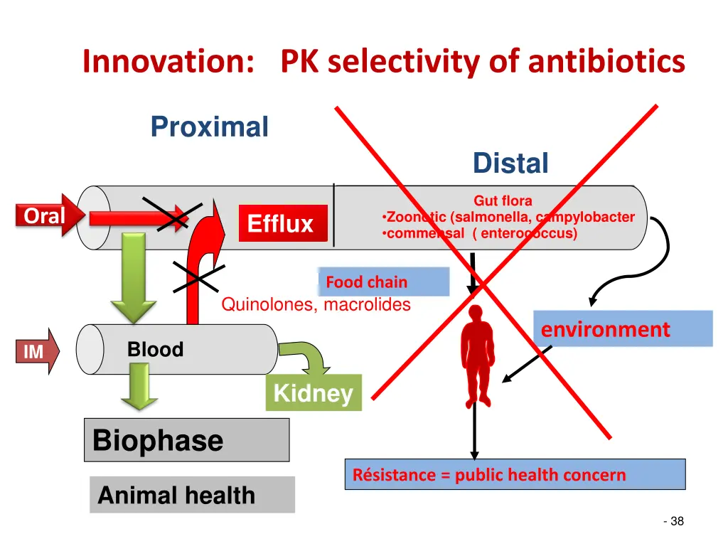 innovation pk selectivity of antibiotics