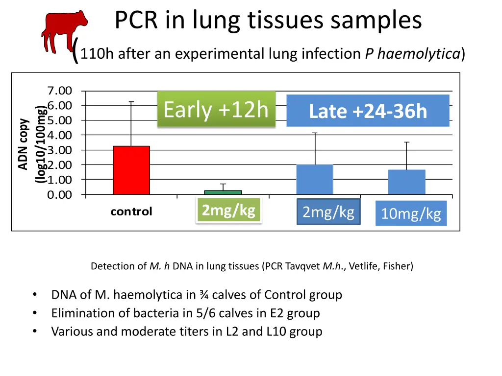 pcr in lung tissues samples 110h after