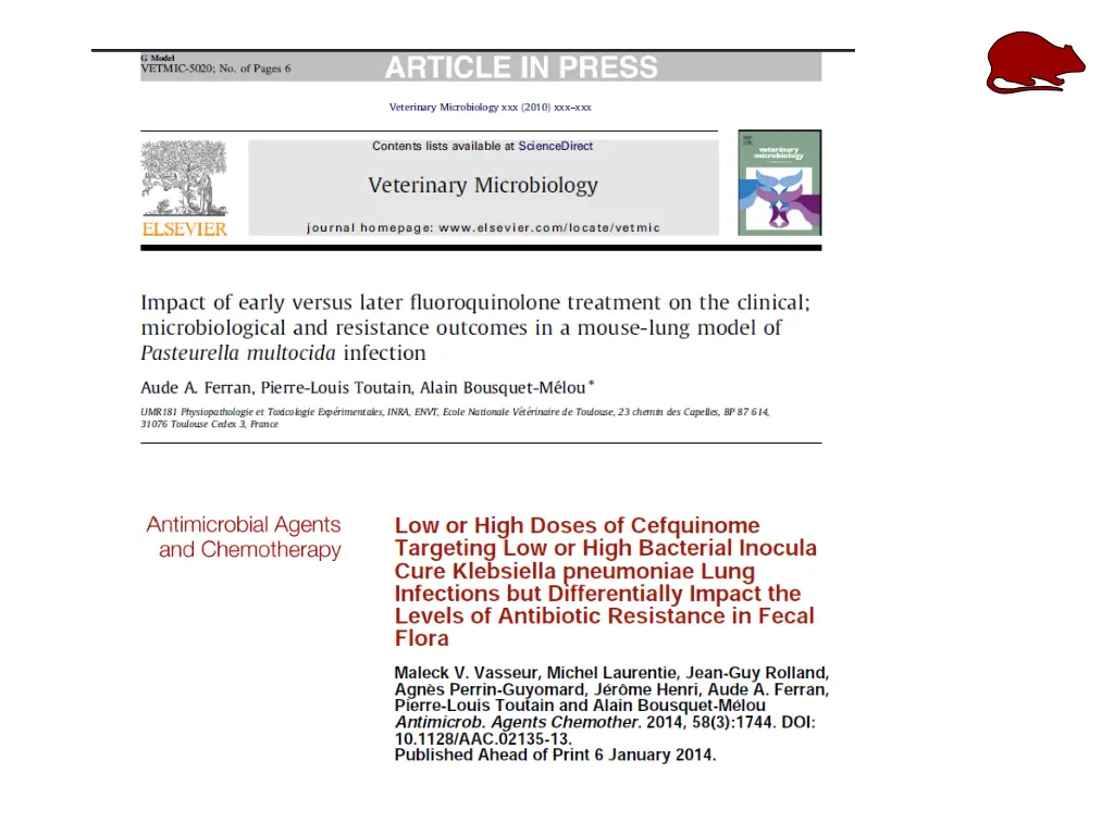 slide26