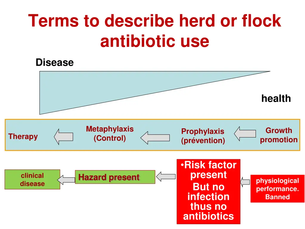terms to describe herd or flock antibiotic use