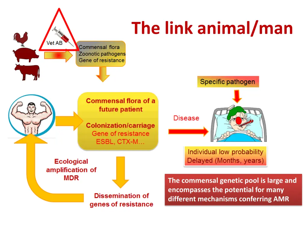 the link animal man