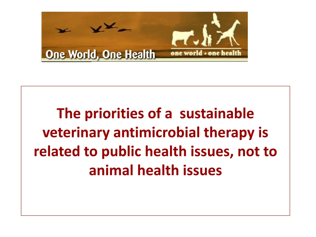 the priorities of a sustainable veterinary