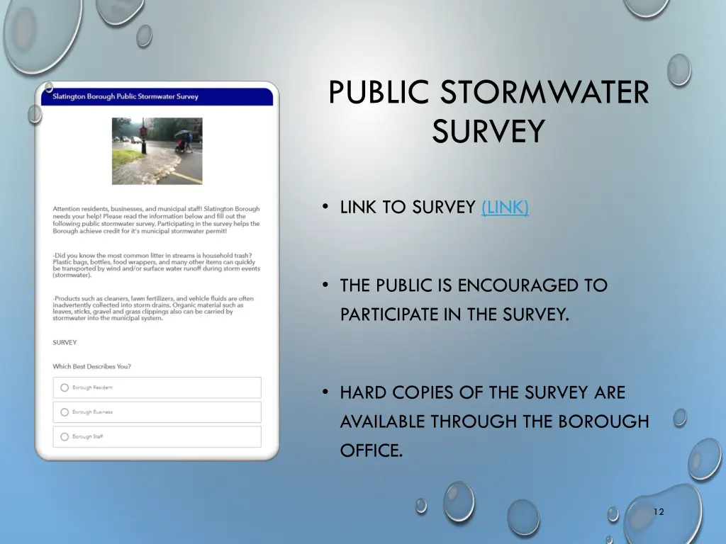 public stormwater survey