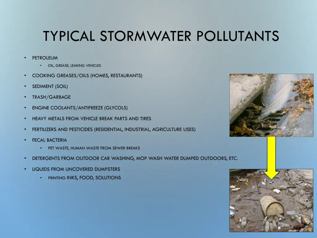 typical stormwater pollutants