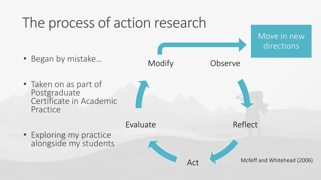the process of action research