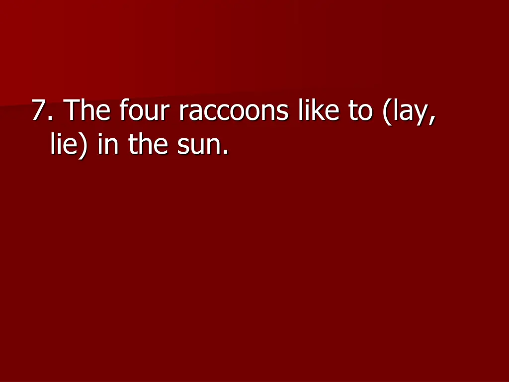 7 the four raccoons like to lay lie in the sun