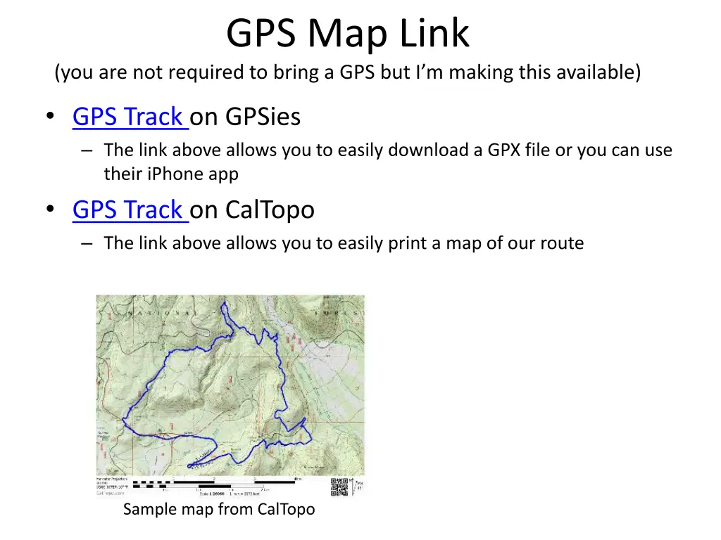 gps map link