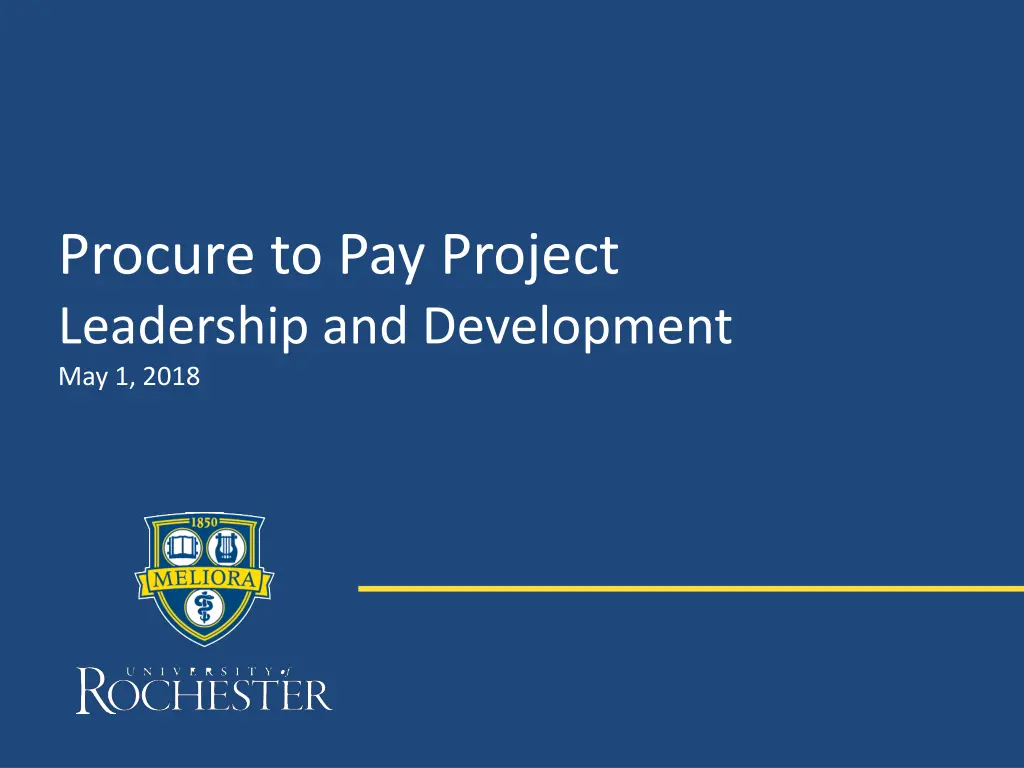 procure to pay project leadership and development