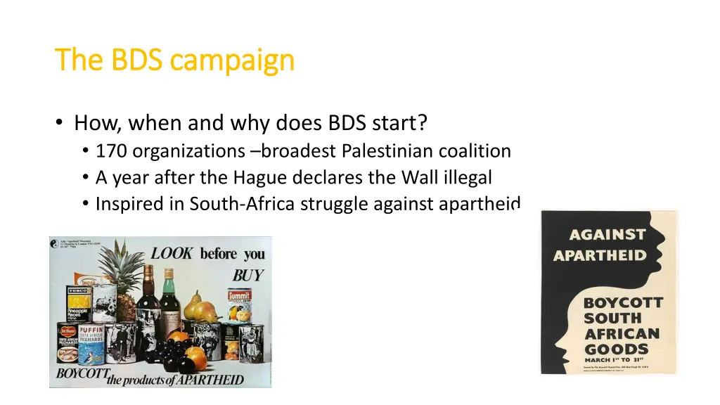 the bds campaign the bds campaign