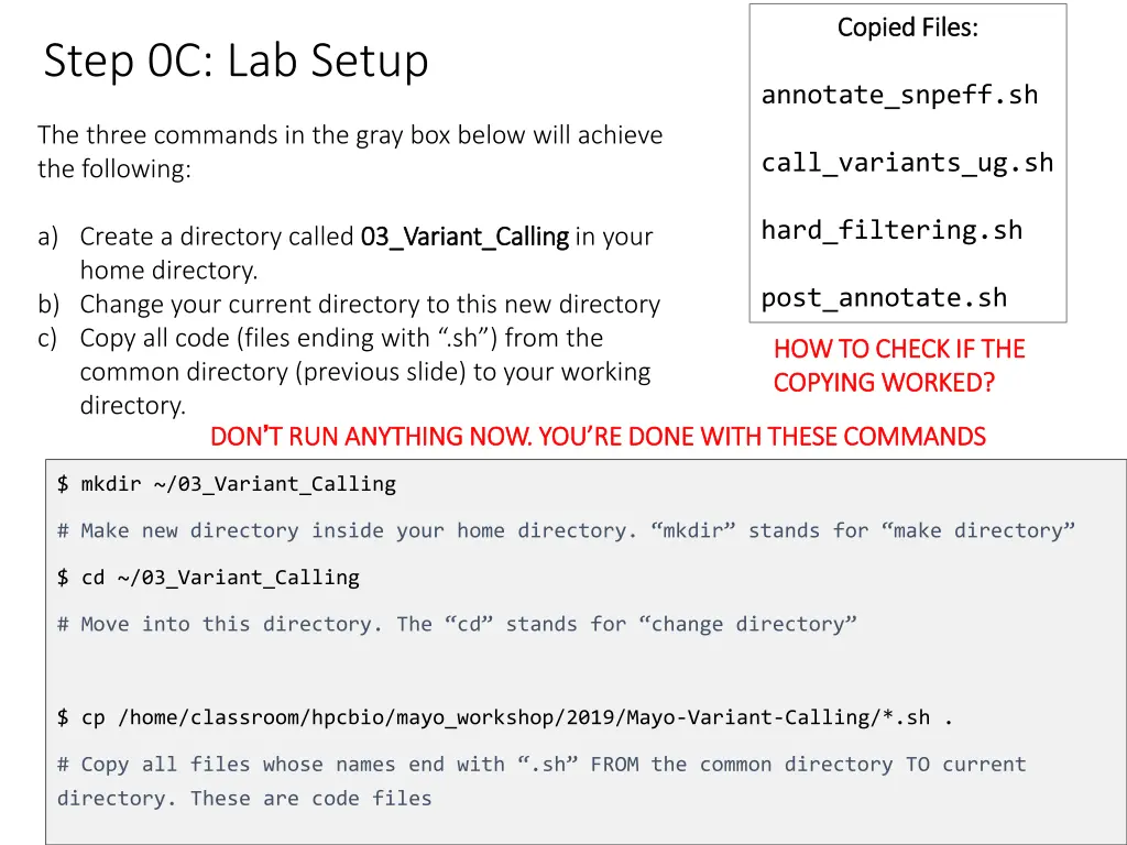 copied files copied files
