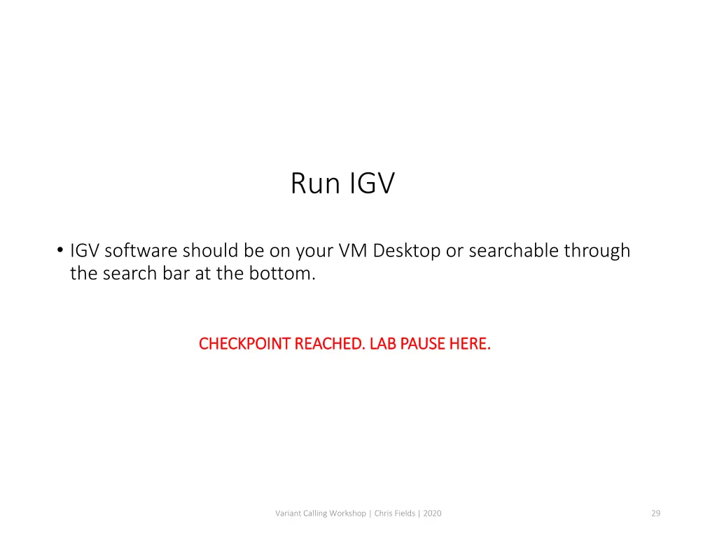 run igv
