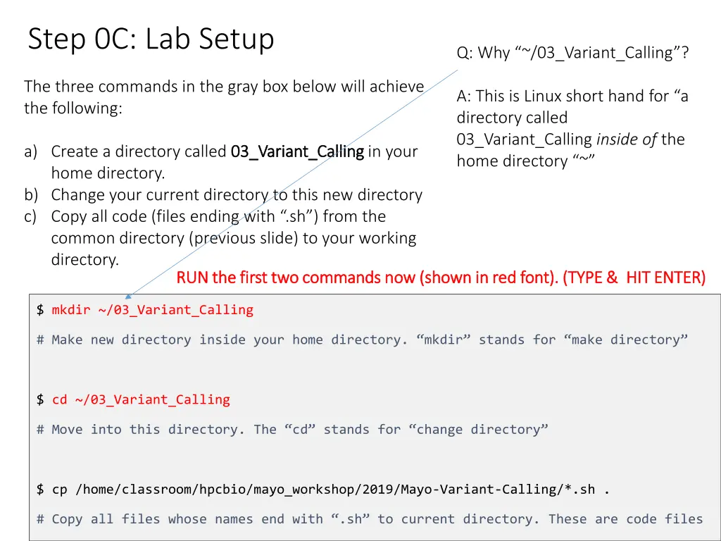 step 0c lab setup