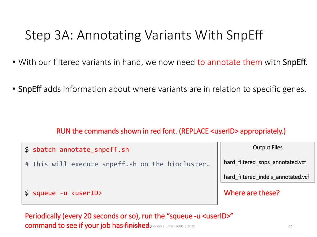 step 3a annotating variants with snpeff