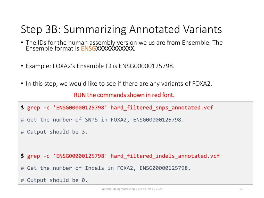 step 3b summarizing annotated variants