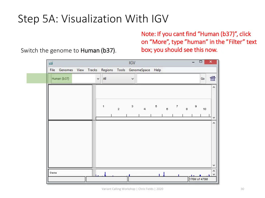 step 5a visualization with igv