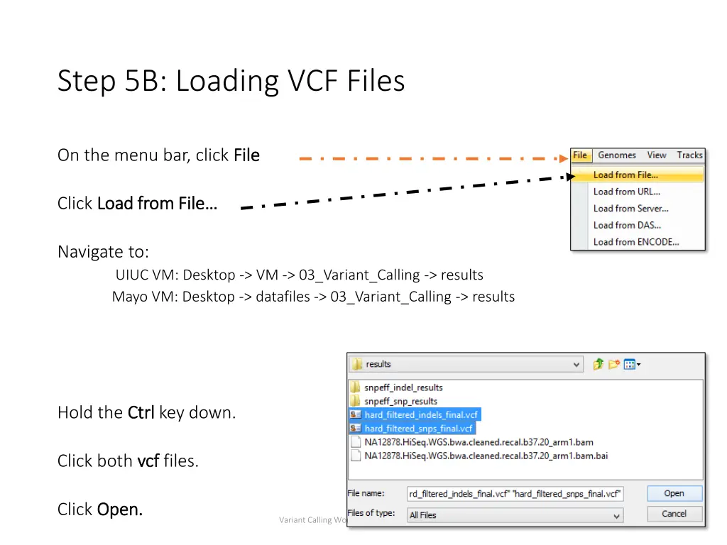 step 5b loading vcf files