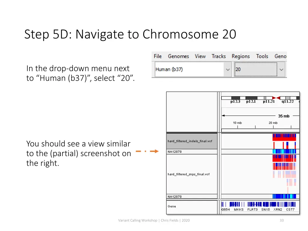 step 5d navigate to chromosome 20