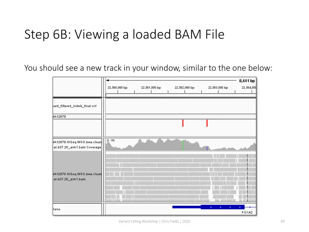 step 6b viewing a loaded bam file