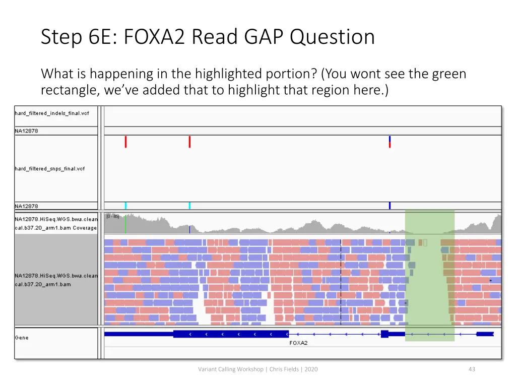 step 6e foxa2 read gap question